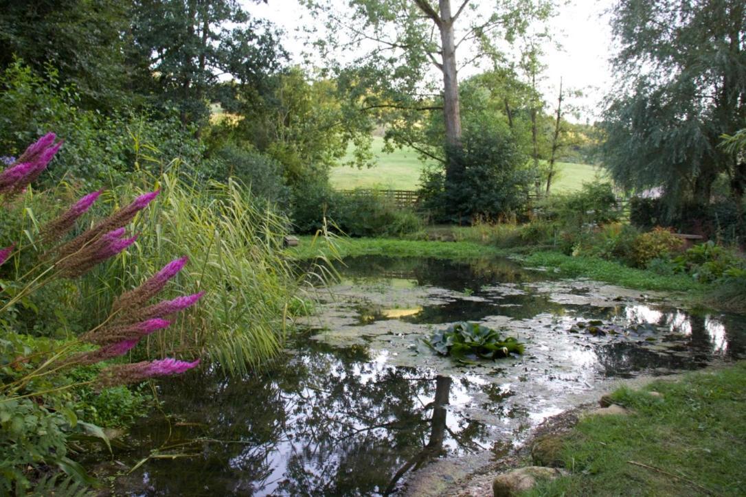 Bagnell Farm Cottage Chiselborough Екстериор снимка